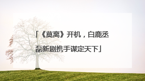 《莫离》开机，白鹿丞磊新剧携手谋定天下