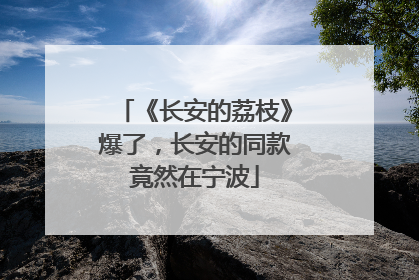 《长安的荔枝》爆了，长安的同款竟然在宁波