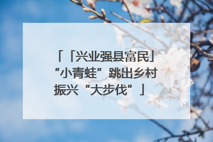 「兴业强县富民」“小青蛙”跳出乡村振兴“大步伐”