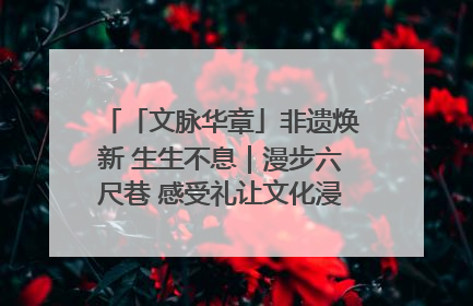 「文脉华章」非遗焕新 生生不息｜漫步六尺巷 感受礼让文化浸润的“巷”往生活