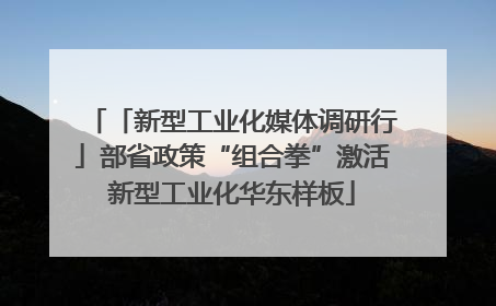 「新型工业化媒体调研行」部省政策“组合拳”激活新型工业化华东样板
