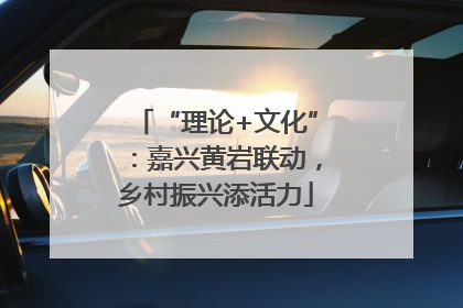 “理论+文化”：嘉兴黄岩联动，乡村振兴添活力