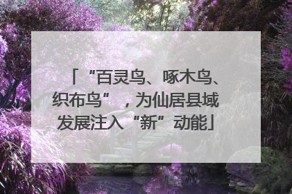 “百灵鸟、啄木鸟、织布鸟”，为仙居县域发展注入“新”动能