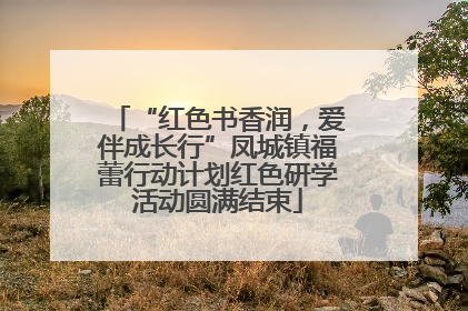 “红色书香润，爱伴成长行”凤城镇福蕾行动计划红色研学活动圆满结束