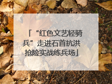 “红色文艺轻骑兵”走进石首抗洪抢险实战练兵场