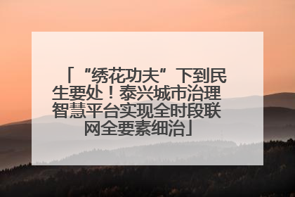 “绣花功夫”下到民生要处！泰兴城市治理智慧平台实现全时段联网全要素细治