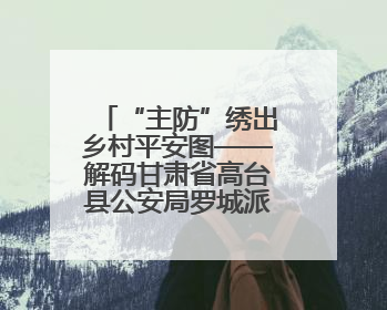 “主防”绣出乡村平安图——解码甘肃省高台县公安局罗城派出所基层治理新实践