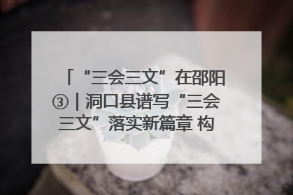 “三会三文”在邵阳③｜洞口县谱写“三会三文”落实新篇章 构建协同联动大格局