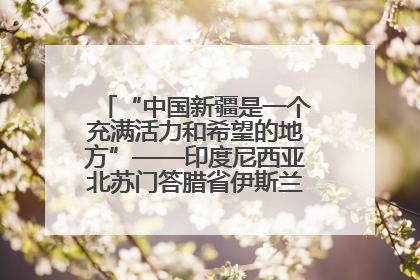 “中国新疆是一个充满活力和希望的地方”——印度尼西亚北苏门答腊省伊斯兰教代表团参访新疆