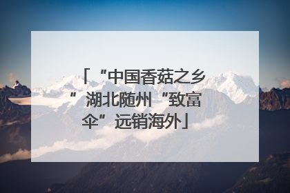 “中国香菇之乡”湖北随州“致富伞”远销海外