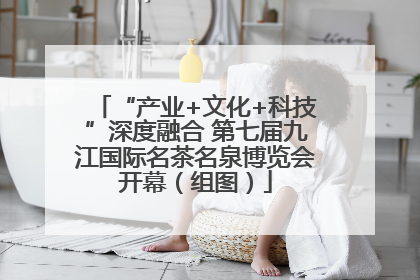 “产业+文化+科技”深度融合 第七届九江国际名茶名泉博览会开幕（组图）