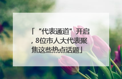 “代表通道”开启，8位市人大代表聚焦这些热点话题