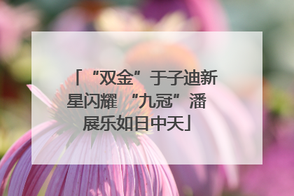 “双金”于子迪新星闪耀 “九冠”潘展乐如日中天