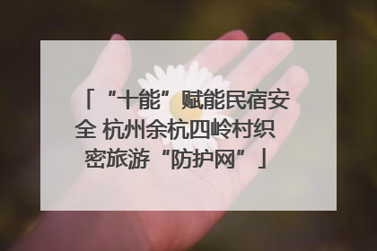 “十能”赋能民宿安全 杭州余杭四岭村织密旅游“防护网”