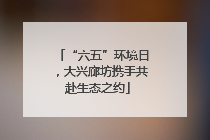 “六五”环境日，大兴廊坊携手共赴生态之约