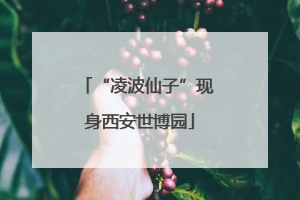 “凌波仙子”现身西安世博园