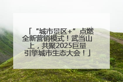 “城市景区+”点燃全新营销模式！武当山上，共聚2025巨量引擎城市生态大会！