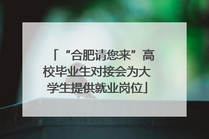 “合肥请您来”高校毕业生对接会为大学生提供就业岗位