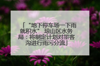 “地下停车场一下雨就积水” 琼山区水务局：将制定计划对墨客沟进行雨污分流