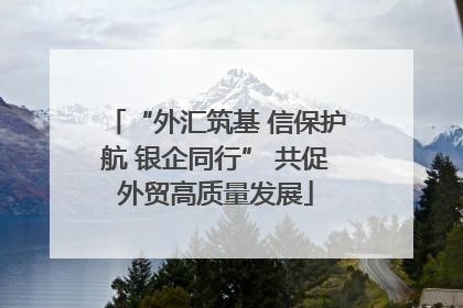 “外汇筑基 信保护航 银企同行” 共促外贸高质量发展