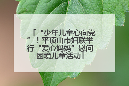 “少年儿童心向党”！平顶山市妇联举行“爱心妈妈”慰问困境儿童活动