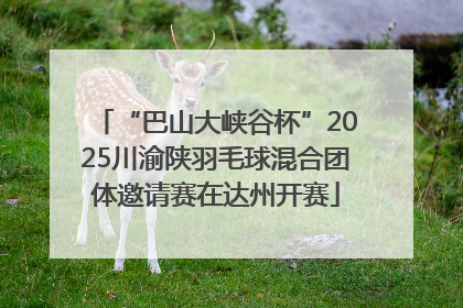 “巴山大峡谷杯”2025川渝陕羽毛球混合团体邀请赛在达州开赛