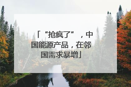 “抢疯了”，中国能源产品，在邻国需求暴增