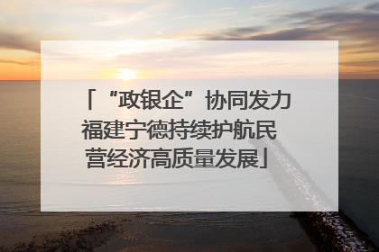 “政银企”协同发力 福建宁德持续护航民营经济高质量发展