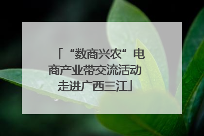 “数商兴农”电商产业带交流活动走进广西三江