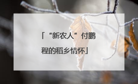 “新农人”付鹏程的稻乡情怀