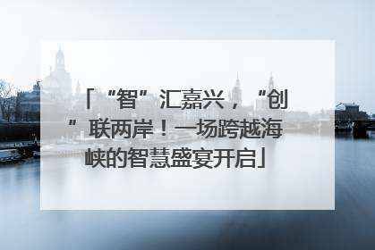 “智”汇嘉兴，“创”联两岸！一场跨越海峡的智慧盛宴开启