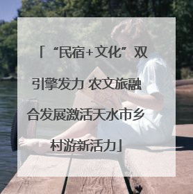 “民宿+文化”双引擎发力 农文旅融合发展激活天水市乡村游新活力