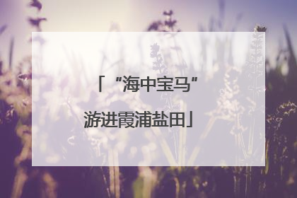 “海中宝马”游进霞浦盐田