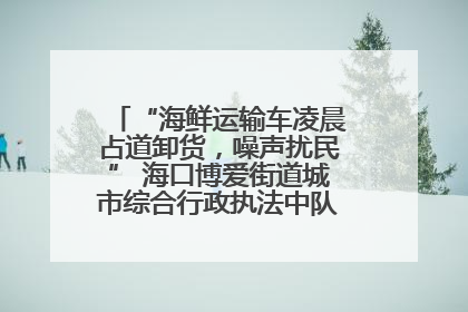 “海鲜运输车凌晨占道卸货，噪声扰民” 海口博爱街道城市综合行政执法中队：将联合交警加强长堤路一带巡逻
