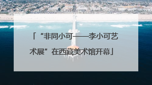 “非同小可——李小可艺术展”在西藏美术馆开幕