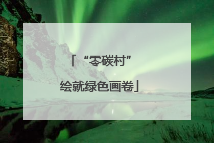 “零碳村” 绘就绿色画卷