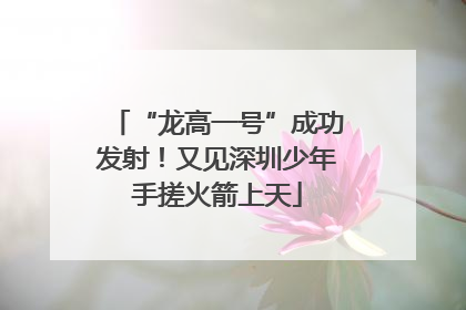“龙高一号”成功发射！又见深圳少年手搓火箭上天