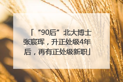 “90后”北大博士张宸珲，升正处级4年后，再有正处级新职