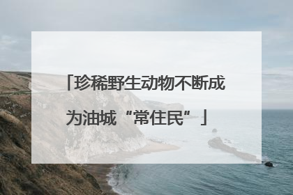 珍稀野生动物不断成为油城“常住民”
