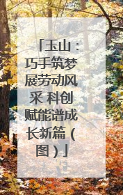 玉山：巧手筑梦展劳动风采 科创赋能谱成长新篇（图）