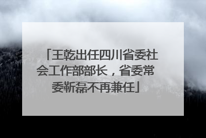 王乾出任四川省委社会工作部部长，省委常委靳磊不再兼任