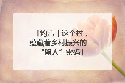 灼言｜这个村，蕴藏着乡村振兴的“留人”密码