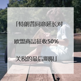 特朗普同意延长对欧盟商品征收50%关税的最后期限