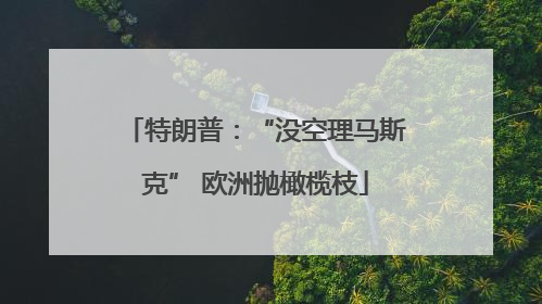 特朗普：“没空理马斯克” 欧洲抛橄榄枝