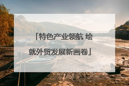 特色产业领航 绘就外贸发展新画卷