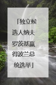 独立候选人纳夫罗茨基赢得波兰总统选举