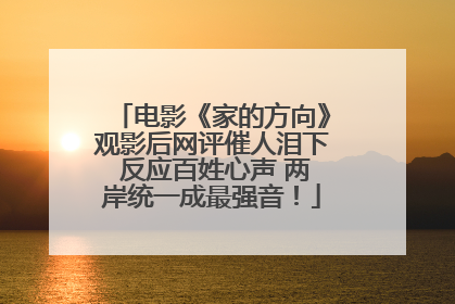 电影《家的方向》观影后网评催人泪下 反应百姓心声 两岸统一成最强音！