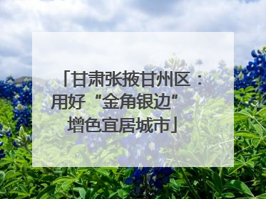 甘肃张掖甘州区：用好“金角银边” 增色宜居城市
