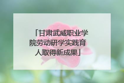 甘肃武威职业学院劳动研学实践育人取得新成果