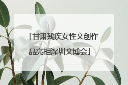 甘肃残疾女性文创作品亮相深圳文博会